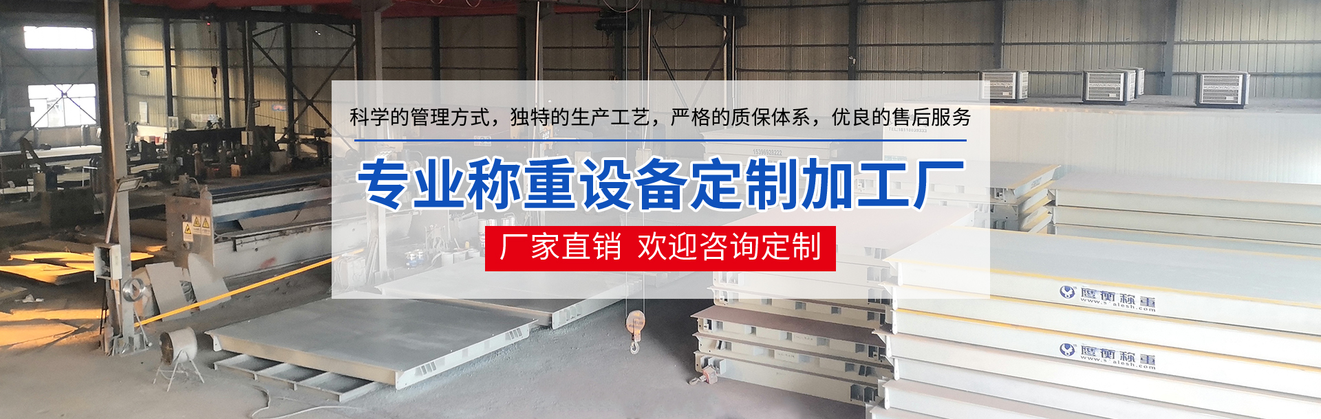 国产99麻豆天美精品色欲